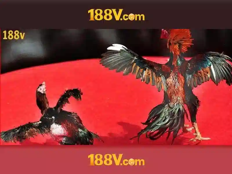 mơ thấy mẹ đã mất