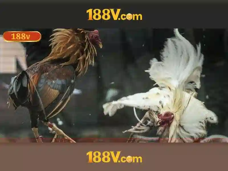 Khái niệm cơ bản về 188v
