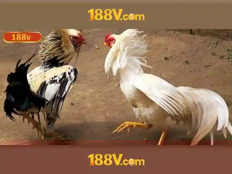 Giao-dien-chinh-188v