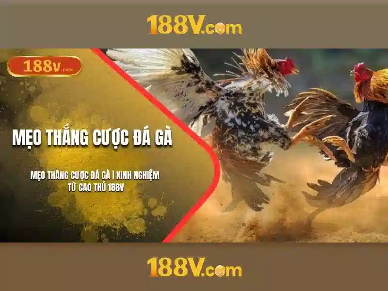 Tương lai của 188v
