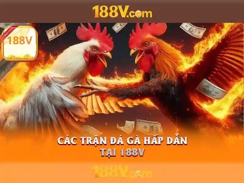 188v: Khái niệm và ảnh hưởng trong thế giới số
