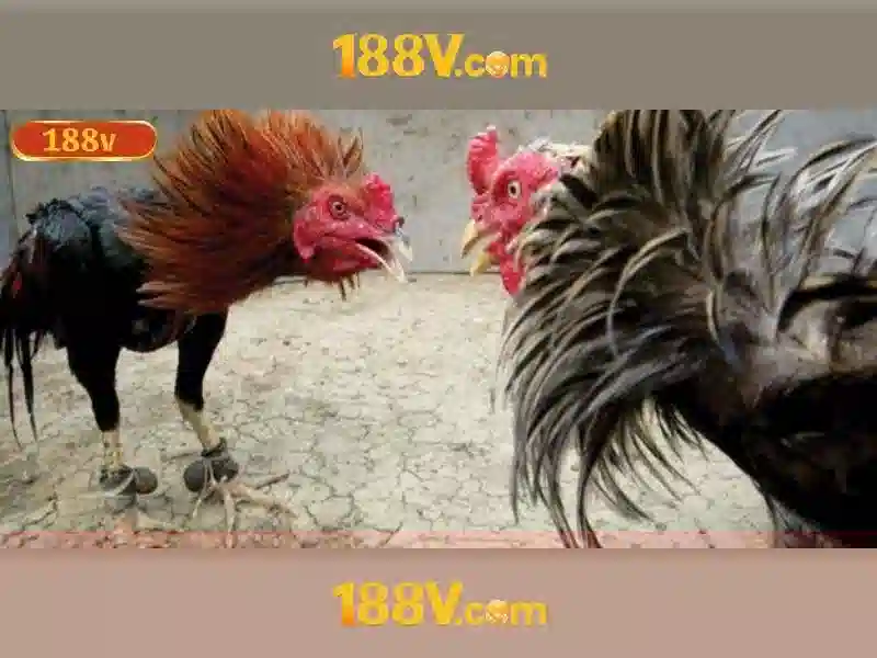 188V và khung điện áp an toàn cho người dùng