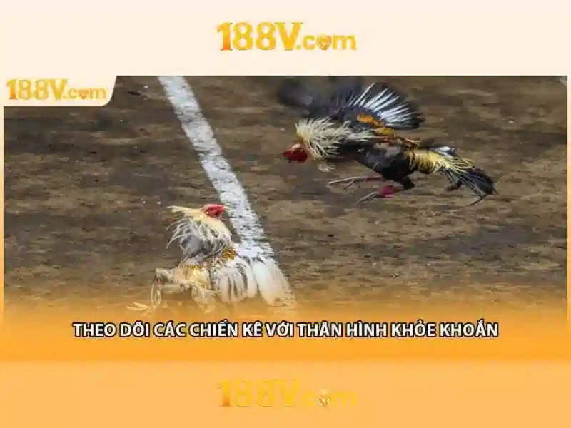 Lịch sử ngắn gọn của 188v