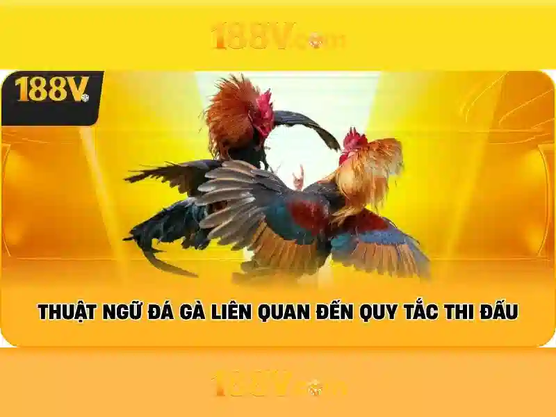 Khám phá 188v
