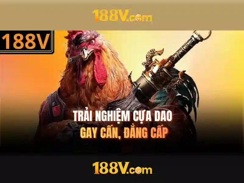Triển khai và tương lai