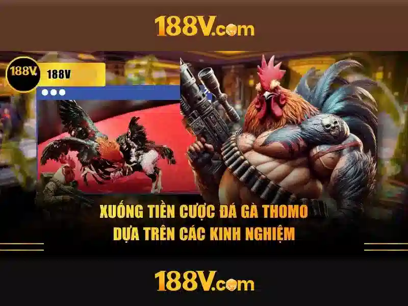 app 188v – Trải nghiệm đỉnh cao và giá trị thương hiệu
