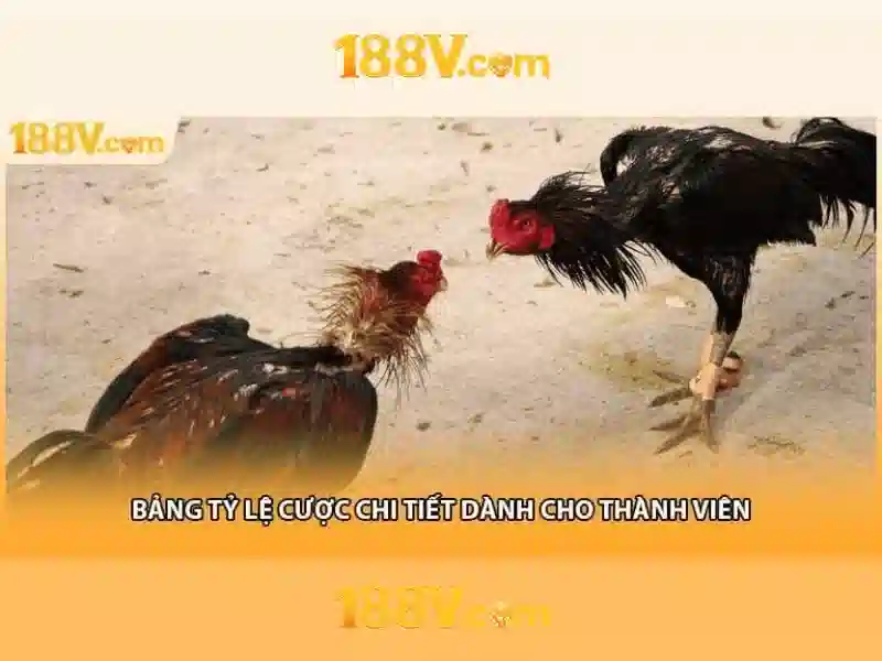 hướng dẫn 188v - Tổng quan và cách tận dụng hiệu quả