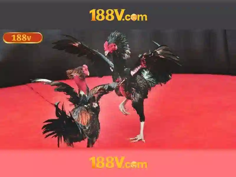 mơ thấy mẹ đã mất