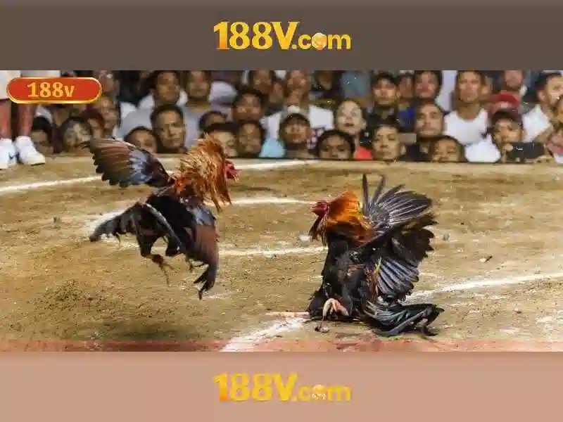 mơ thấy mẹ đã mất