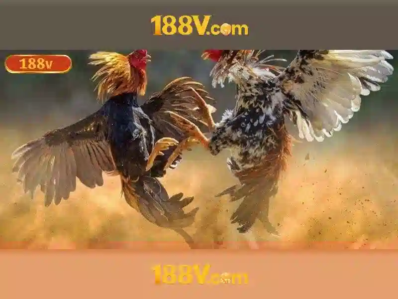 Doi nguo cua 188v vom