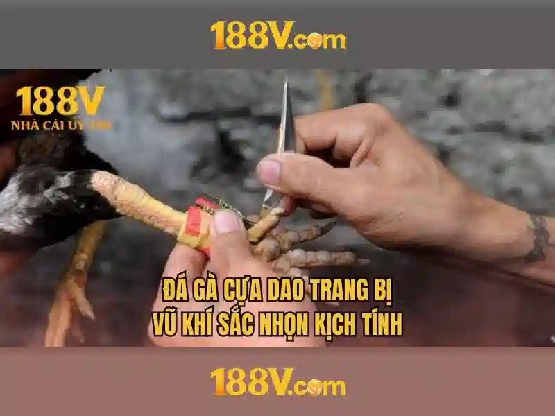 Khám phá 188v: khung số và ý nghĩa