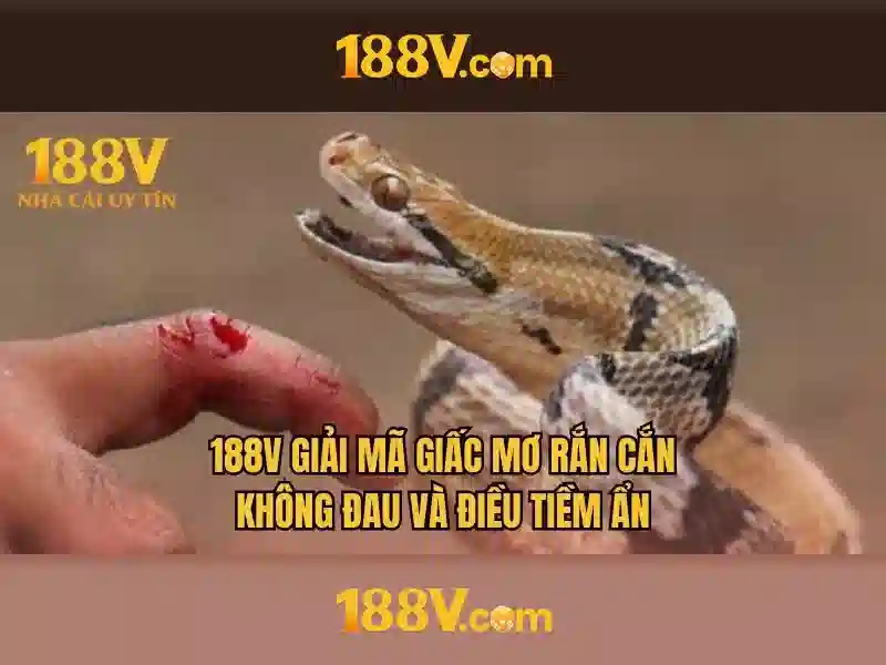 188v vip: trải nghiệm đỉnh cao và hành trình thương hiệu
