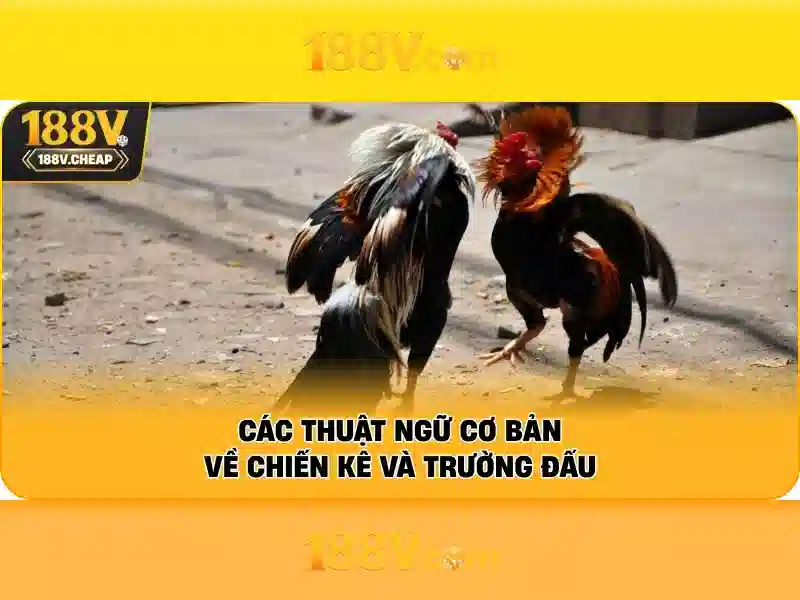 Khởi đầu với 188V