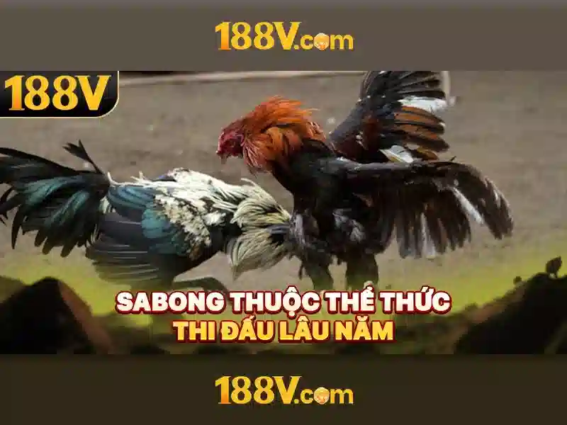 188V trong hệ thống điện: Tính chất và ứng dụng