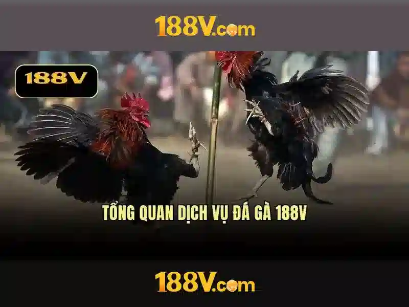 188v: huyền bí của con số