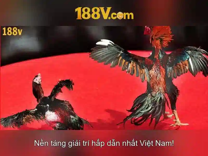188v: Ký hiệu số và hành trình trong thế giới số