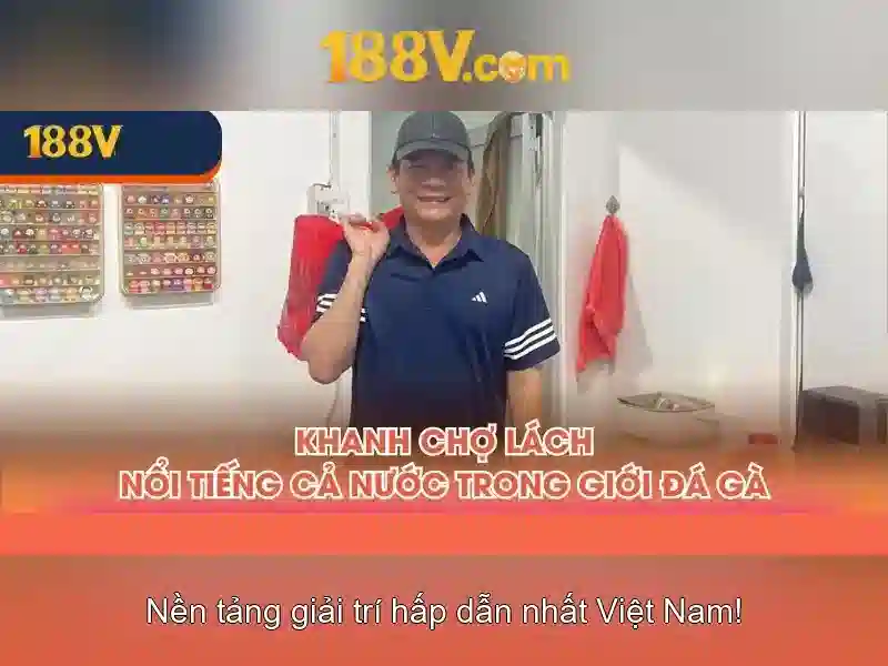 Ứng dụng và thách thức