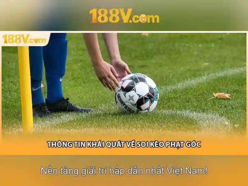 Thuật ngữ bắn cá