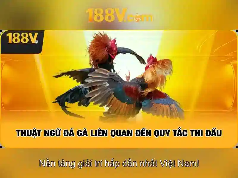 Thuật ngữ bắn cá
