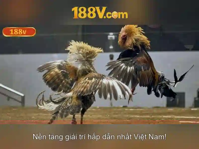 Định nghĩa và nguồn gốc của 188V