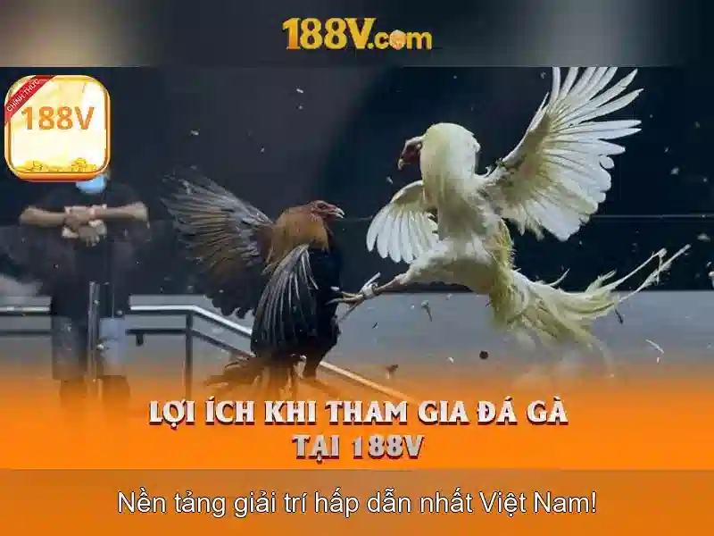 Nguồn gốc và ý nghĩa của 188V