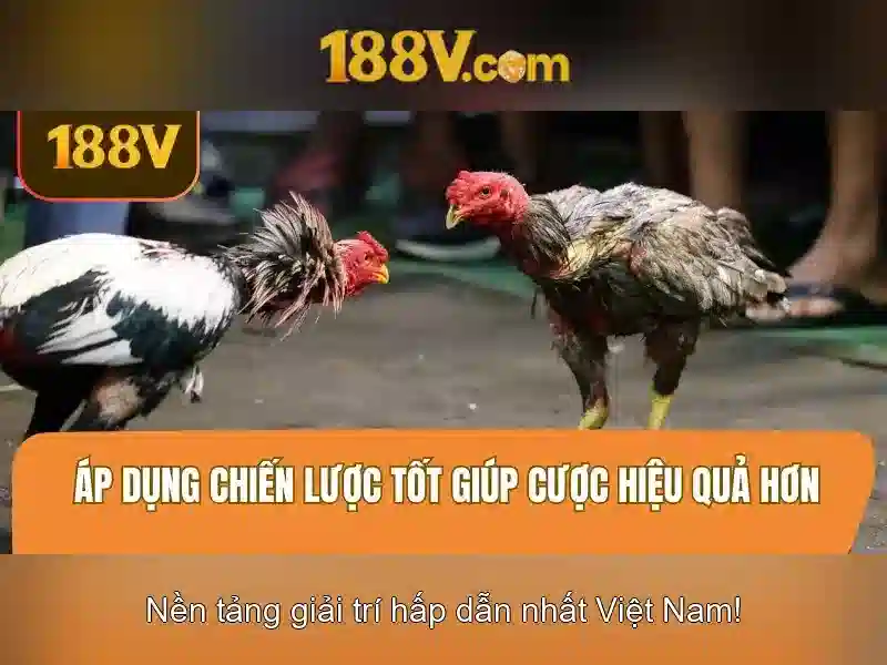 Tương lai của 188v