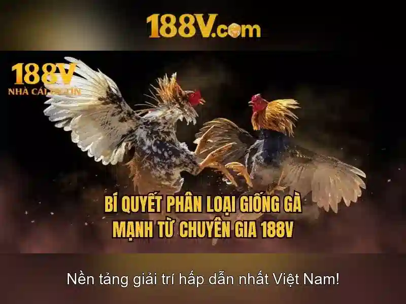 Khởi đầu của 188v