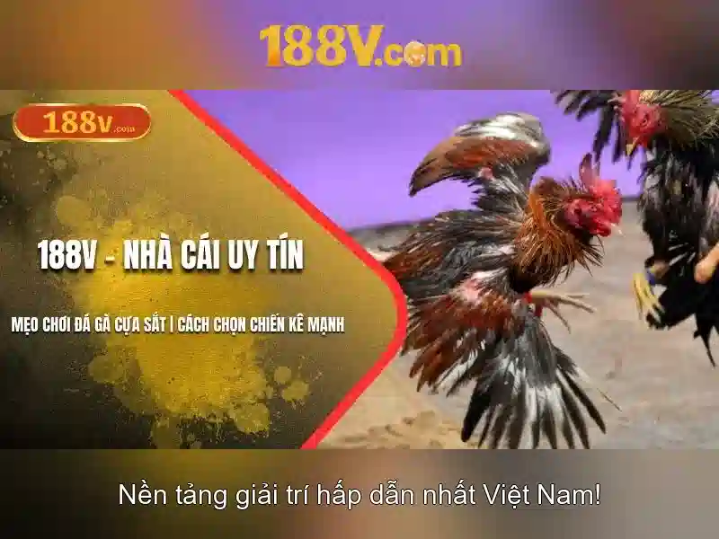 'So sánh 188V với các mức điện áp khác'