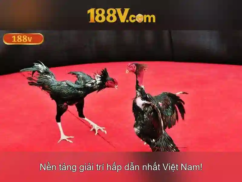 Ý nghĩa của 188V