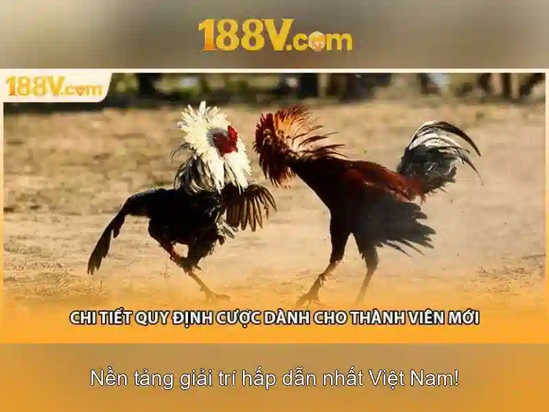 Những đặc tính nổi bật của 188V