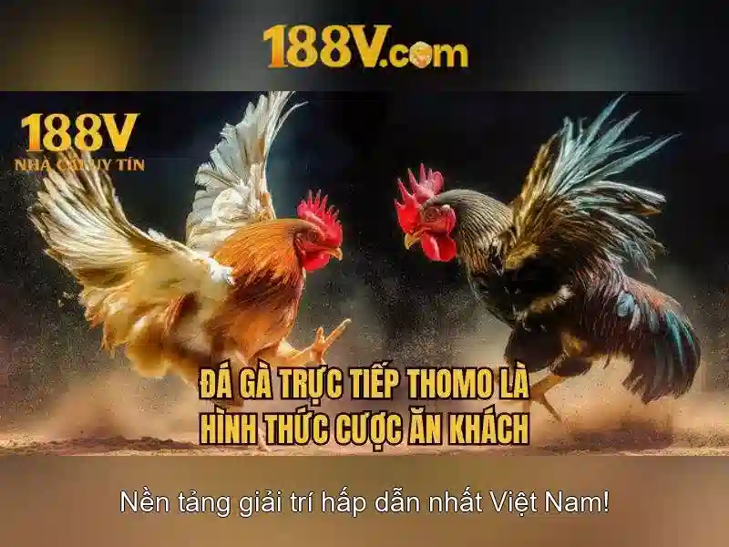 mơ thấy mẹ đã mất