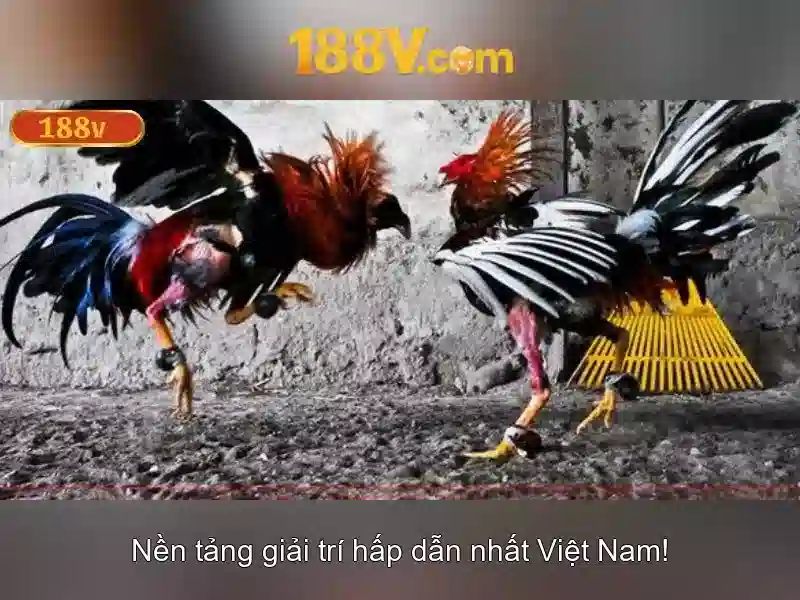 Về 188v