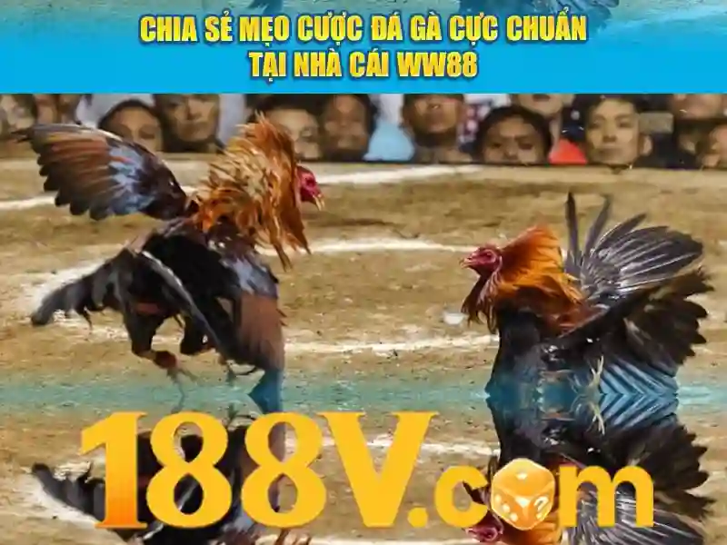 mơ thấy mẹ đã mất