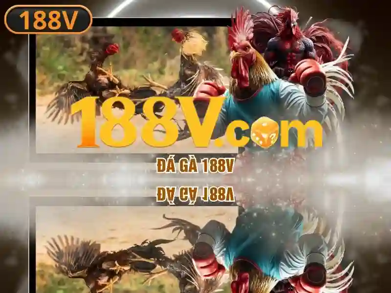 Ứng dụng và cách nhìn nhận 188v