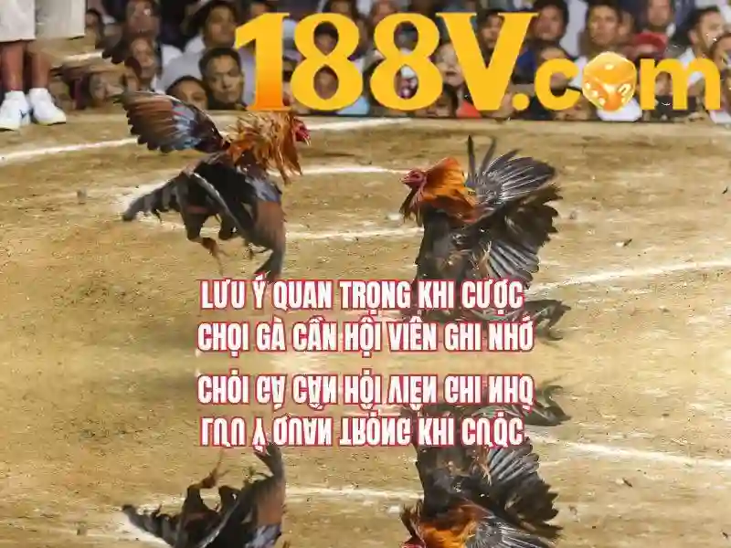 Minh_hoa_dieu_kien_tham_gia